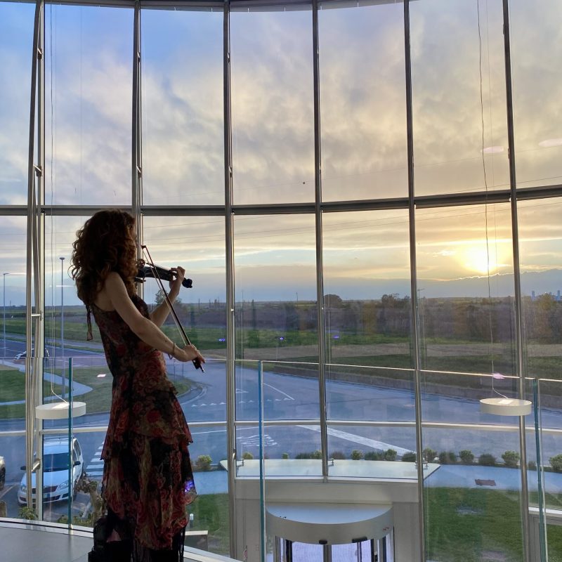 03. Violinista - PUBBLICARE