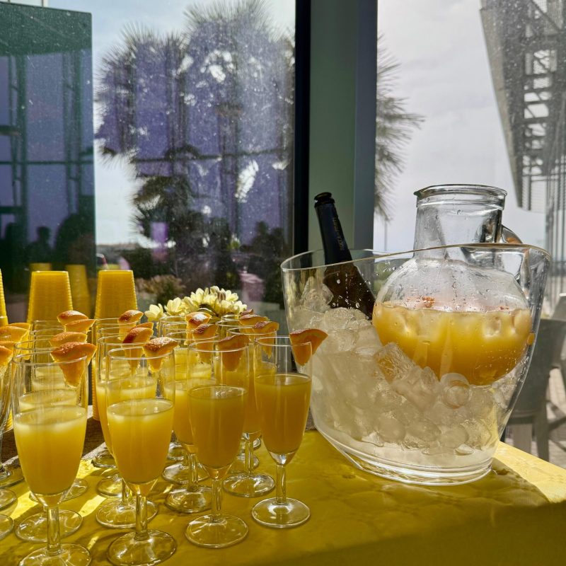 Mimosa 2